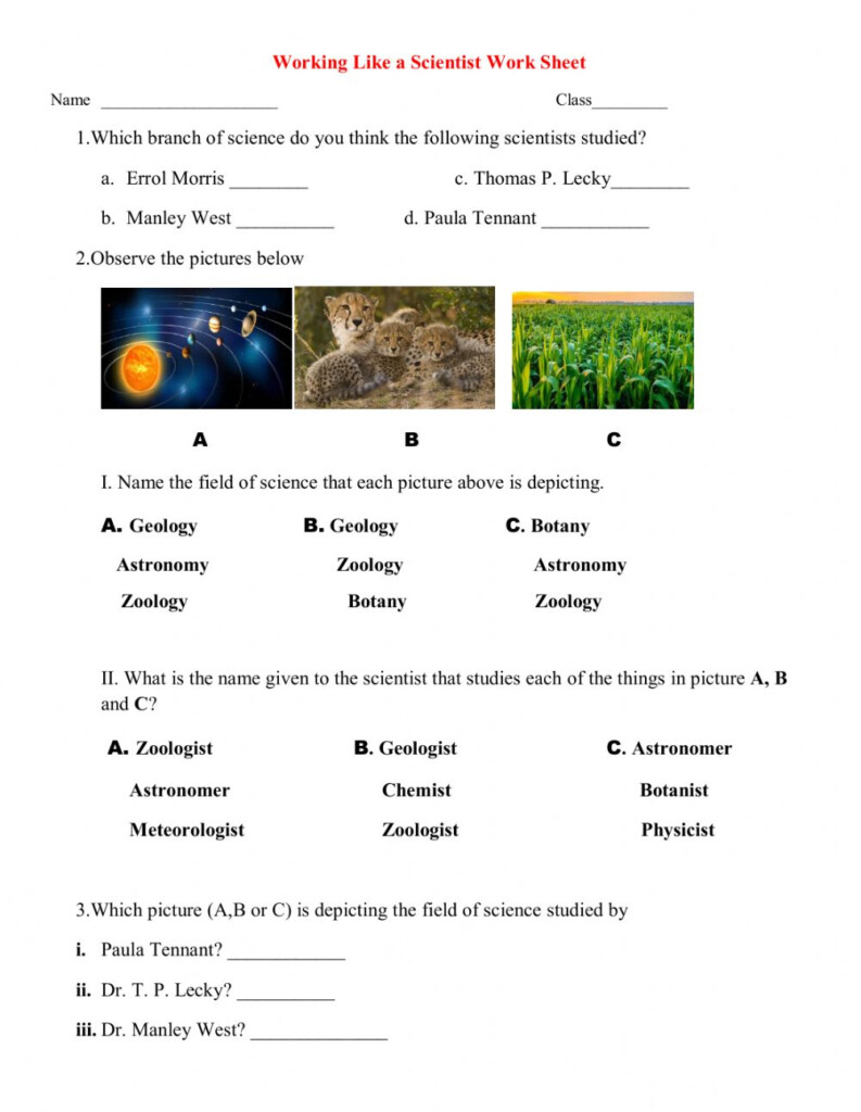 Integrated Science Process Skills Worksheets SkillsWorksheets