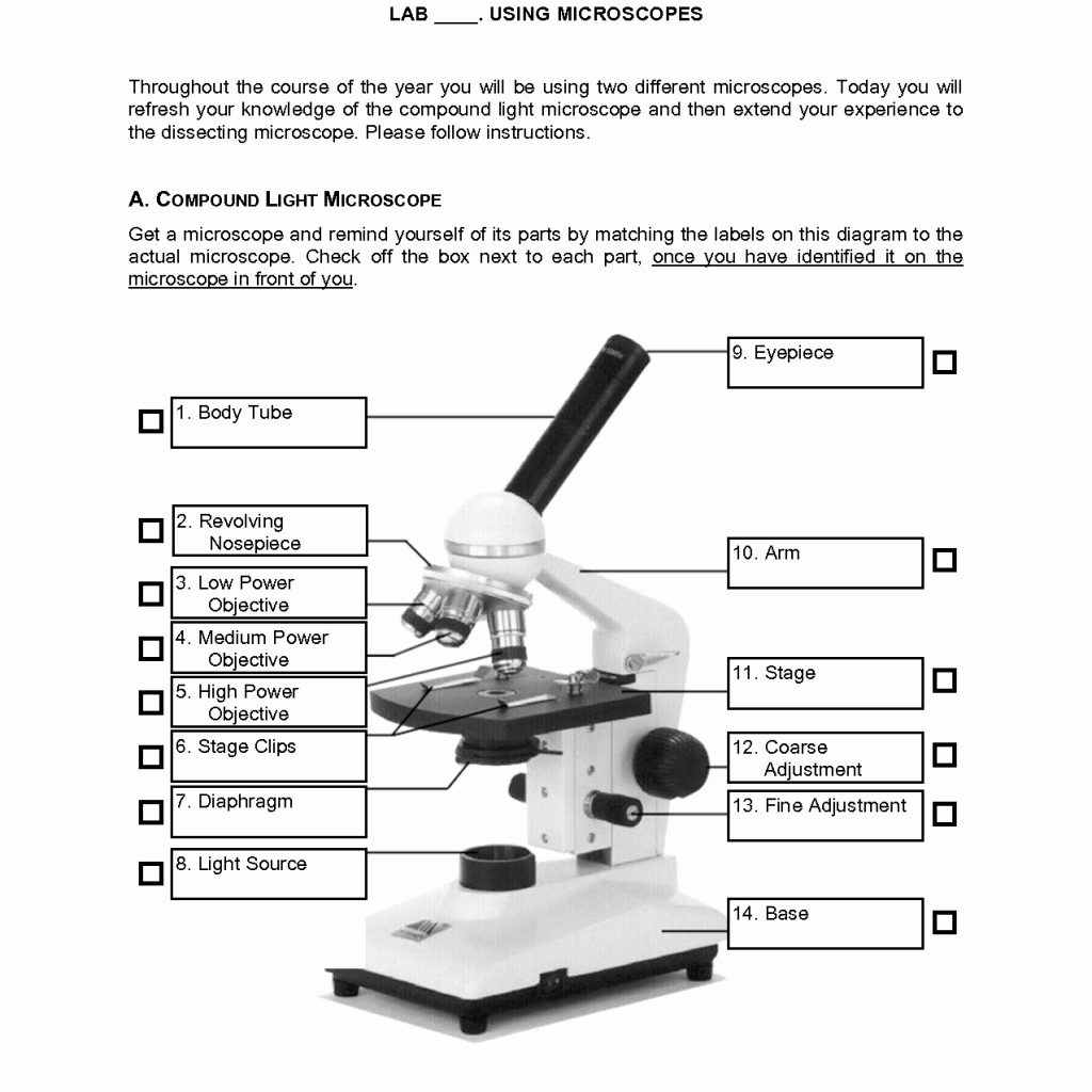 Labeling A Microscope Worksheet