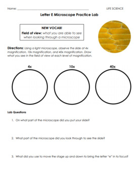 Letter E Microscope Lab By Christina 39 s Crafty Resources TPT