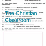 MCGRAW HILL SCIENCE GRADE 2 Chapter 1 PLANTS Supplementary Materials Test