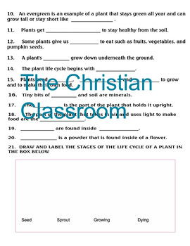 MCGRAW HILL SCIENCE GRADE 2 Chapter 1 PLANTS Supplementary Materials Test