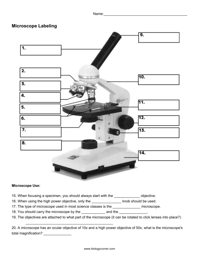 Microscope Parts And Use Worksheet Worksheets For Home Learning