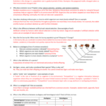 Natural Selection Quiz Review Guide Answer Key 2