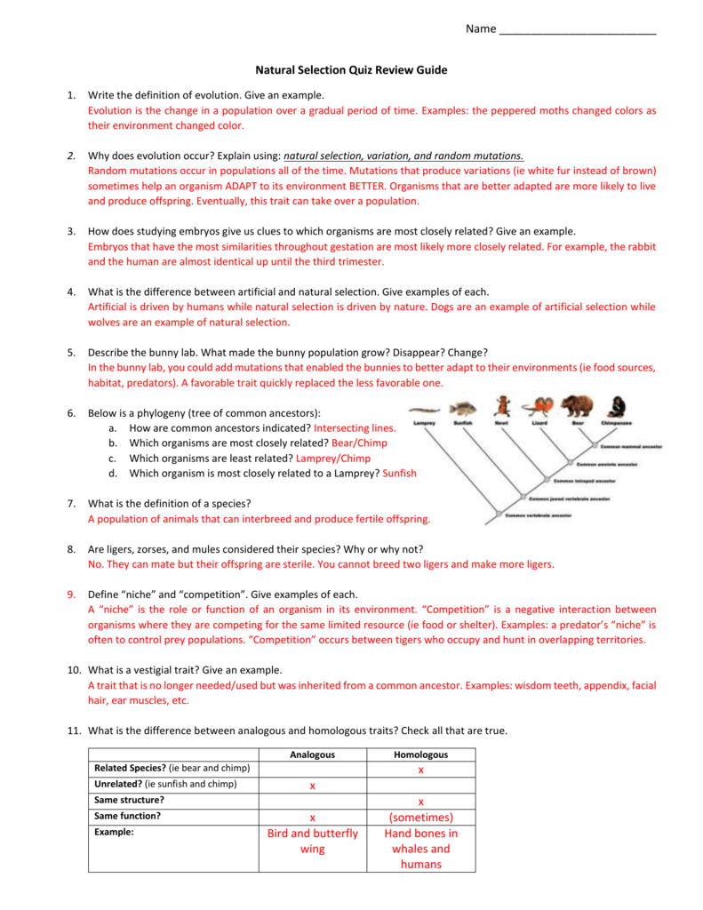  Natural Selection Quiz Review Guide Answer Key 2 