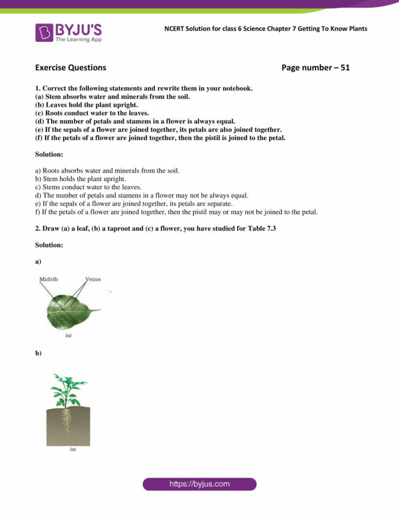 NCERT Solutions For Class 6 Science Chapter 7 Getting To Know Plants 