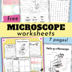 Parts Of A Microscope Worksheet Answers