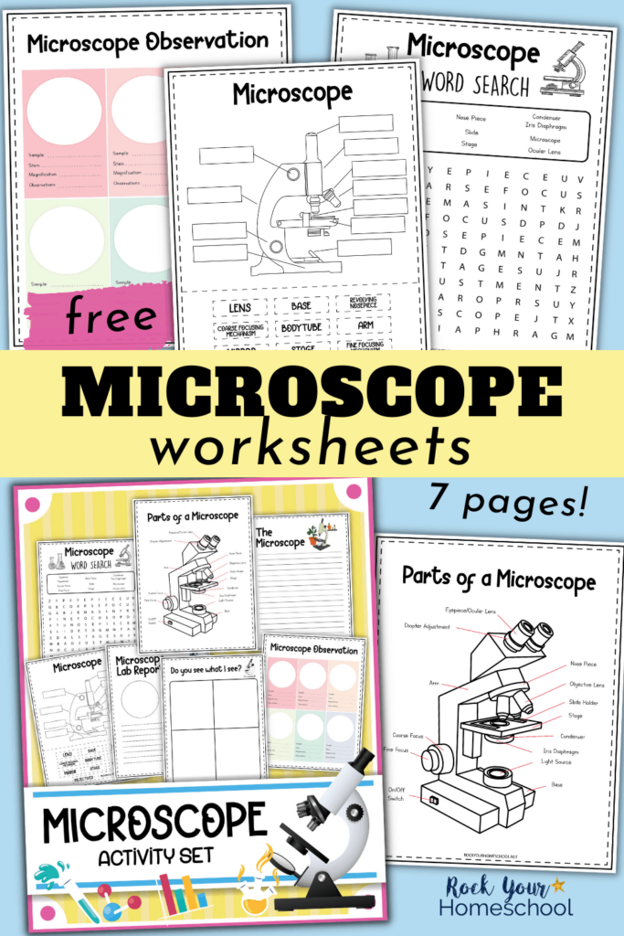 Parts Of A Microscope Worksheet Answers