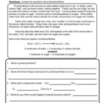 Photosynthesis Reading Worksheet By Teach Simple