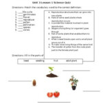 Science Fusion Grade 3 Unit 3 Lesson 1 Quiz By Teacher Tales TpT