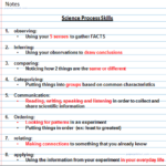 Science Process Skills Worksheets Grade 5