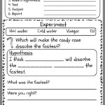 Science Worksheet For 5Th Graders