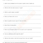 Science Worksheets Grade 4 Pdf Scienceworksheets