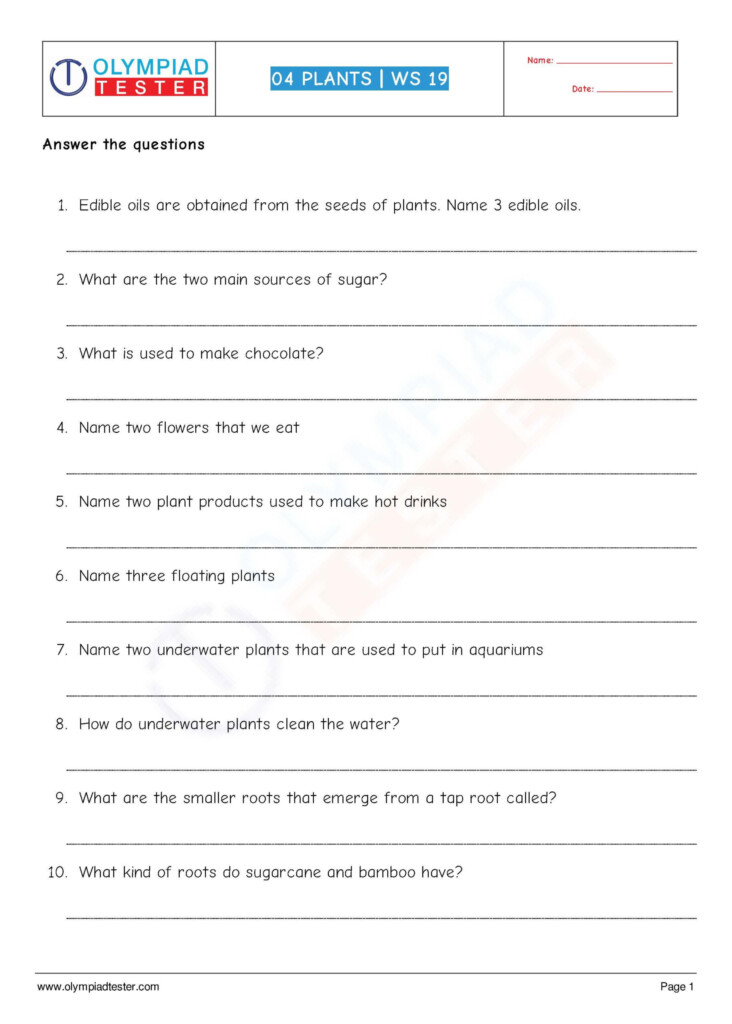 Science Worksheets Grade 4 Pdf Scienceworksheets