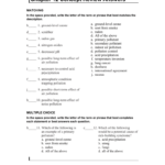 Skills Worksheet Concept Review Answer Key Printable Word Searches