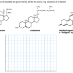 Solved Some Examples Of Steroids Are Given Below Draw The Chegg