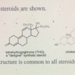 Solved Three Examples Of Steroids Are Shown M 0 Chegg