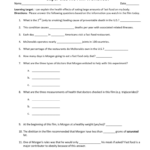 Supersize Me Worksheet Answers