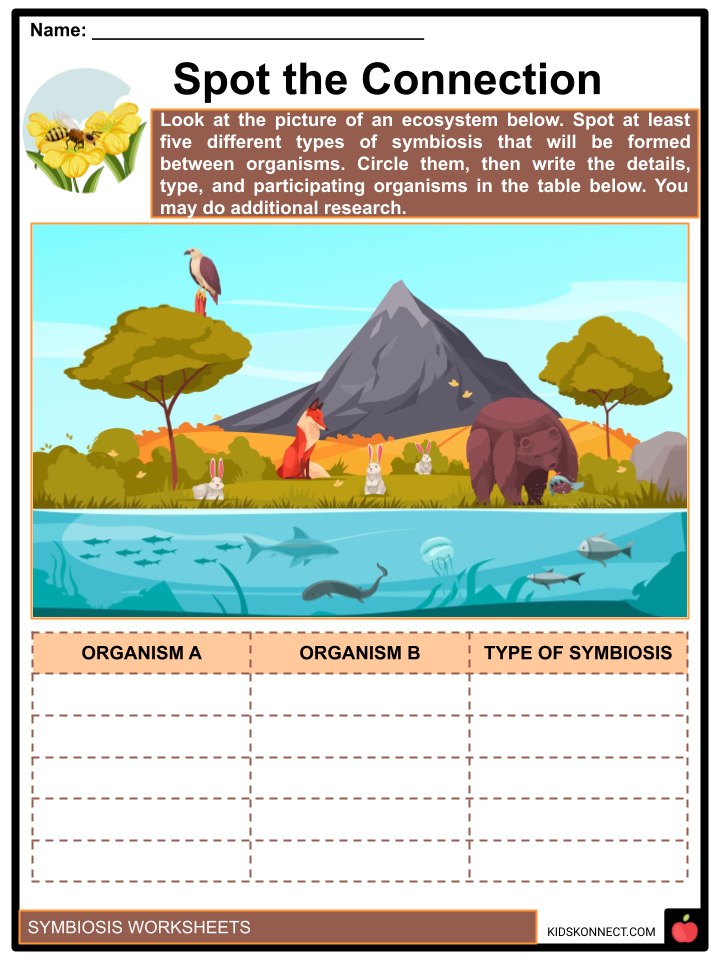 Symbiosis Facts Worksheets Meaning Relationships