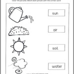 Teach Child How To Read Easy Science Worksheets For 1st Grade Soil Water