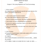 Worksheets For Class 6 Science Cbse