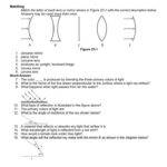 11 Light Matching Worksheet Answers Physical Science