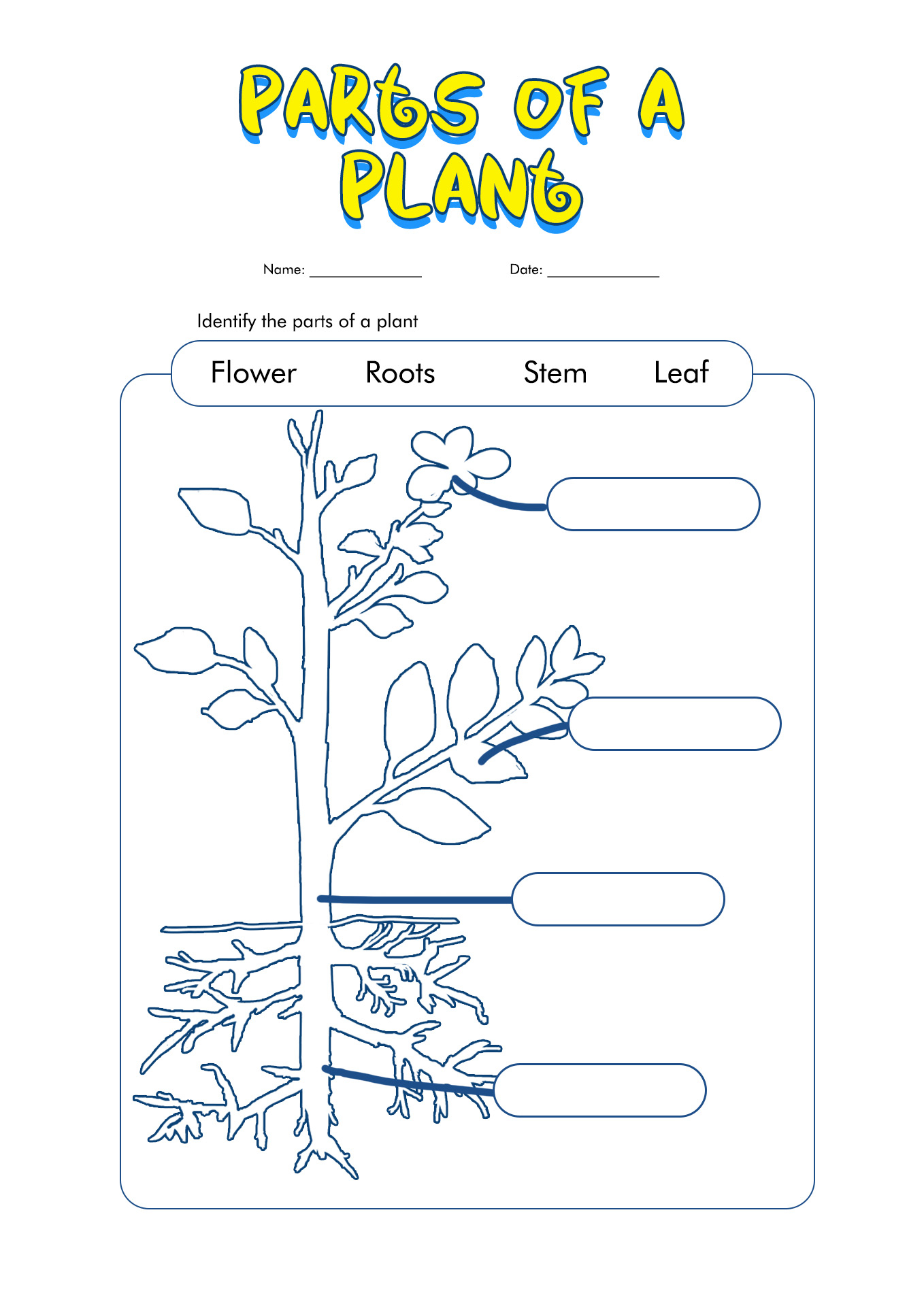 14 Plant Worksheets For Grade 1 Free PDF At Worksheeto