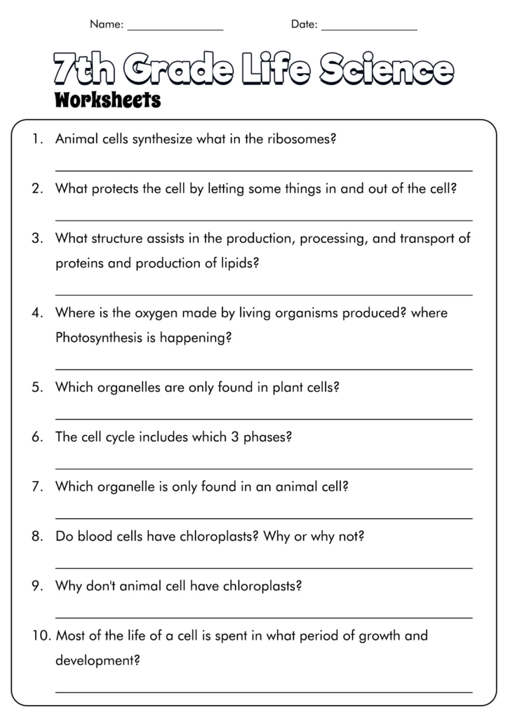 18 7th Grade Science Cells Worksheets Free PDF At Worksheeto