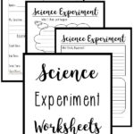 1st Grade Science Experiment Worksheet