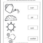 1st Grade Science Worksheets Free Printables