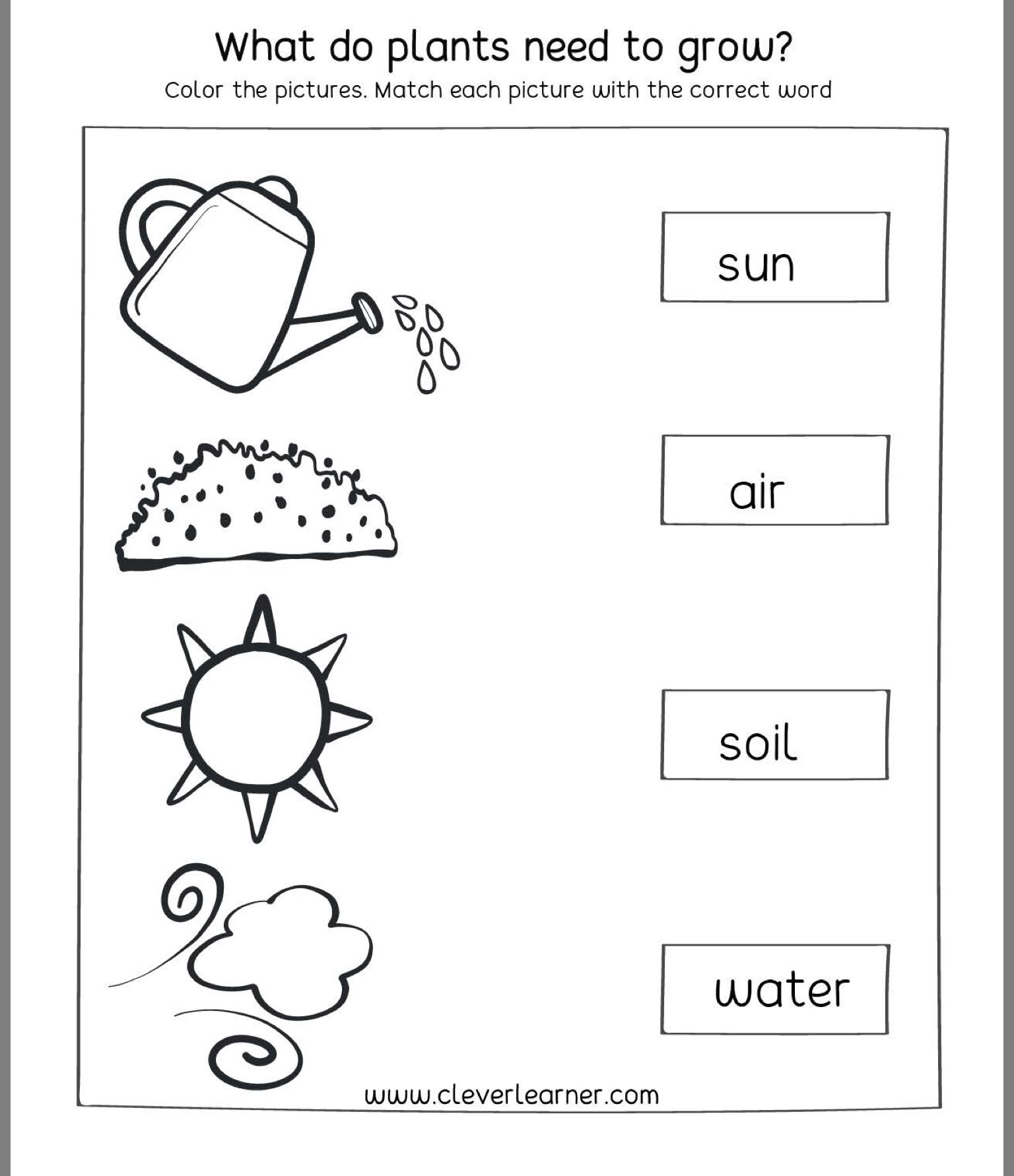 1st Grade Science Worksheets Free Printables