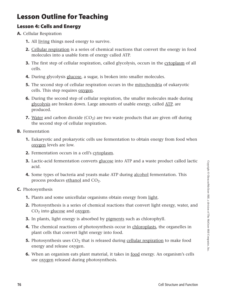 2 4 Outline Cells And Energy Answers