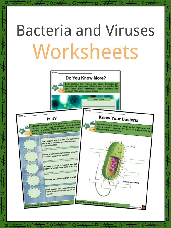 30 Viruses And Bacteria Worksheet Key Support Worksheet