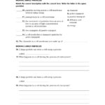 33 Holt Environmental Science Skills Worksheet Answer Key Support