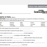 36 Science World Worksheet Answers Support Worksheet