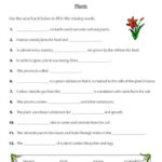 3rd Grade Science Worksheets Plants