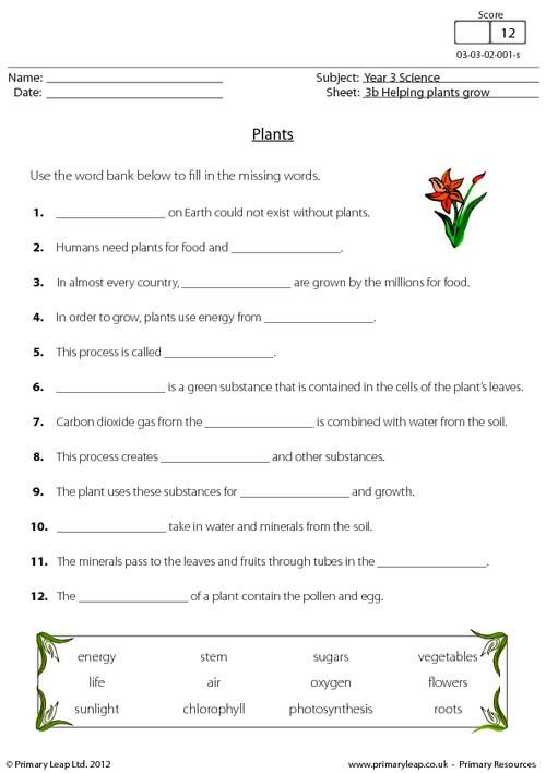 3rd Grade Science Worksheets Plants