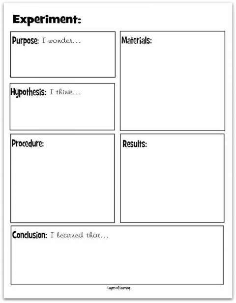 4th Grade Science Hypothesis Worksheet Scienceworksheets