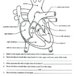 4th Grade Science Worksheets Best Coloring Pages For Kids