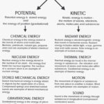 50 Introduction To Energy Worksheet Answers