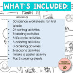 50 Science Printable Worksheets For First Grade Etsy