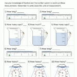 5th Grade Measurement Worksheets