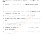 5th Grade Science Practice Worksheet