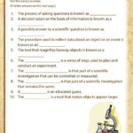 5th Grade Science Printable Worksheet