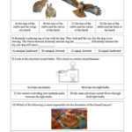 5th Grade Science STAAR Practice Worksheets By Reincke 39 s Education Store