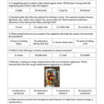 5th Grade Science STAAR Practice Worksheets By Reincke 39 s Education Store