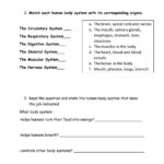 5th Grade Science Worksheets Edform Worksheets Library