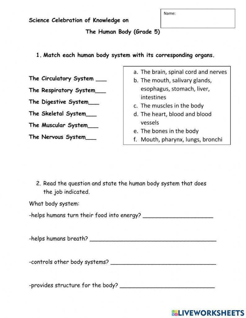 5th Grade Science Worksheets Edform Worksheets Library