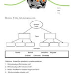 6th Grade Igneous Rock Worksheet By Lauren Allen TPT