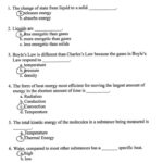 6th Grade Science Lesson Worksheets