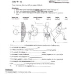 6th Grade Science Worksheets With Answer Key Pdf Key Worksheet